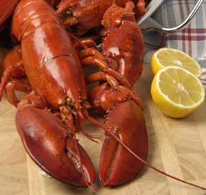 fresh-cooked-lobster