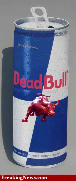 dead-bull-48189