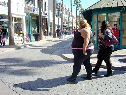 fatwomen By Henry Fool Published March 22 2012 Full size is 500 375 