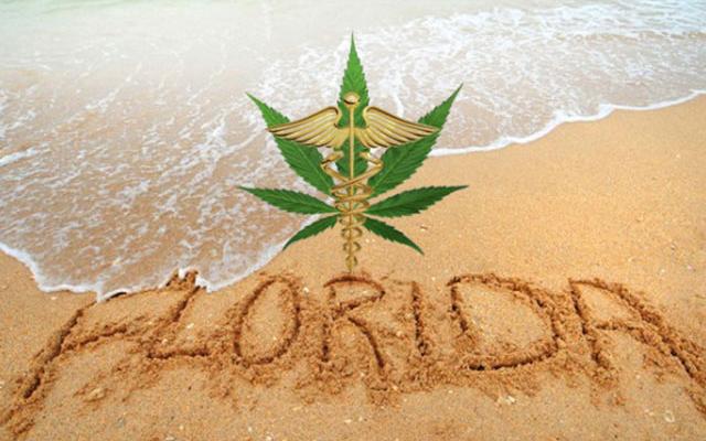 florida-could-legalize-both-medical-and-recreational-cannabis-in-2016