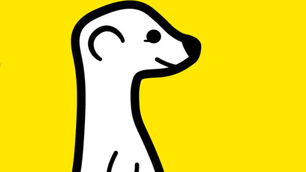 meerkat